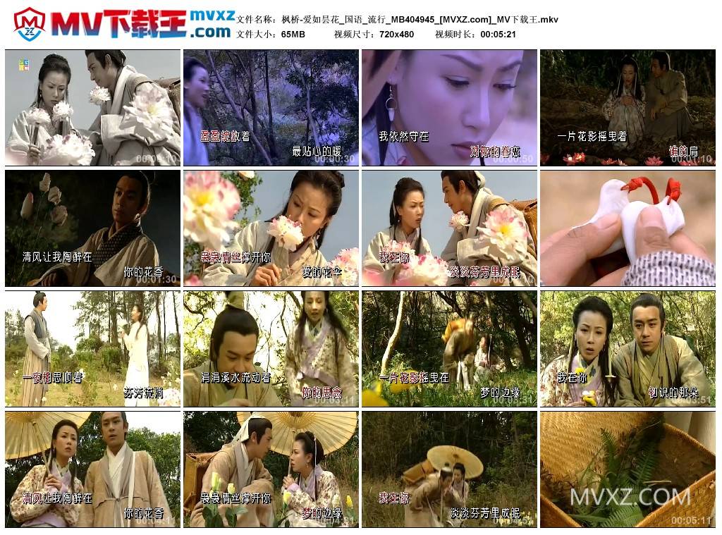 枫桥-爱如昙花_国语_流行_MB404945